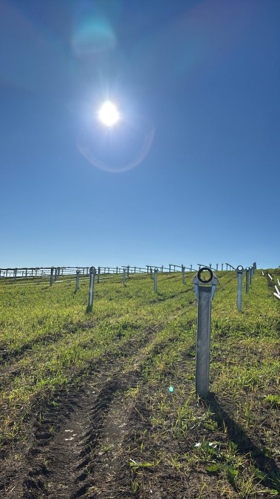 seguimiento de hincas