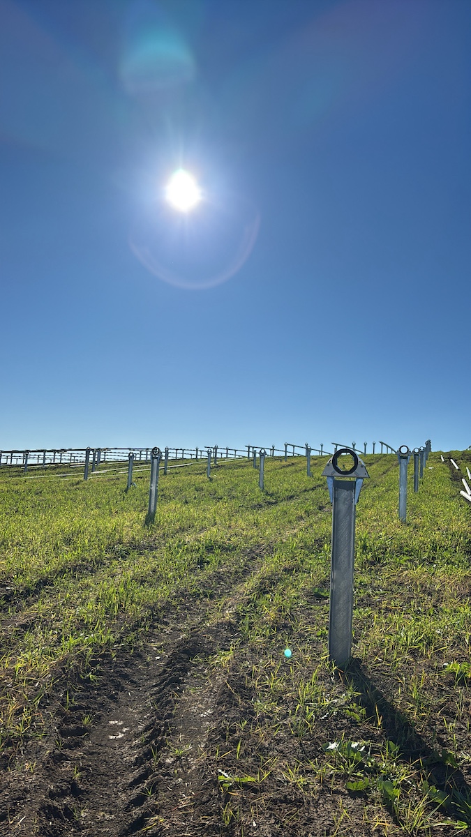 seguimiento de hincas